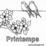 Printemps Coloriage Dessin Oiseaux Fleur Imprimer Colorier Oiseau Coloriages Maternelle Dessiner Vive Complet Facile Paysage Imprimé Imprimez sketch template