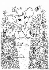 Mouse Souris Topi Adulti Mouses Chapeau Magicienne Zentangl Sitting Justcolor Meditative Fleuri Realistic Coloriages sketch template