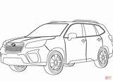 Forester sketch template