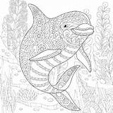 Coloring Pages Ocean Adult Underwater Life Print Drawing Dolphin Adults Sheets Printable Animals Zentangle Book Animal Getdrawings Stress Kids Doodle sketch template