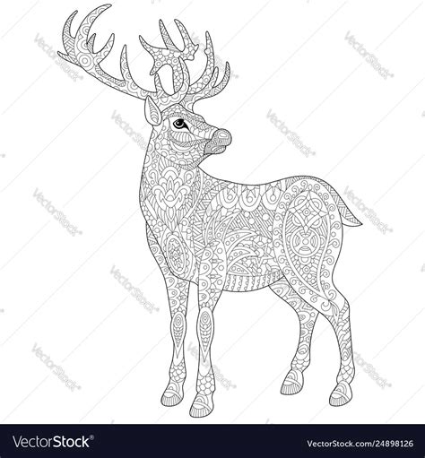 cool deer coloring pages  adults pictures coloring pages printable