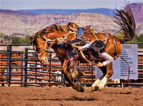Rodeo Saddle Bronc Riding Photograph By Priscilla Burgers