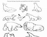 Boxo Hare Preschool Printables sketch template