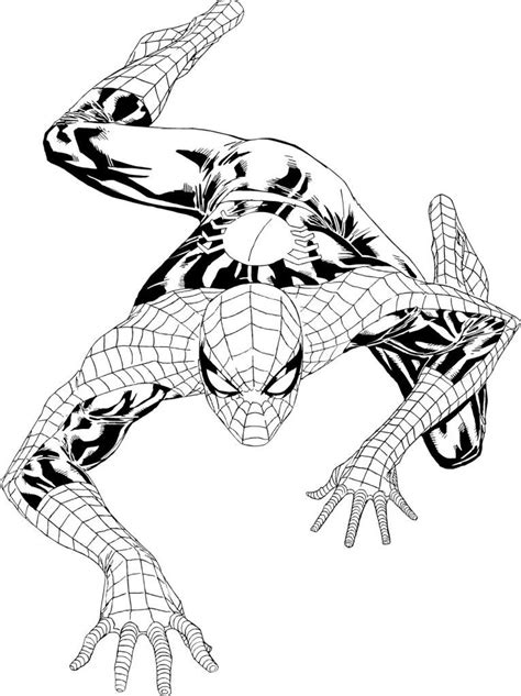 spiderman ausmalbilder kostenlos wie alle anderen fiktiven