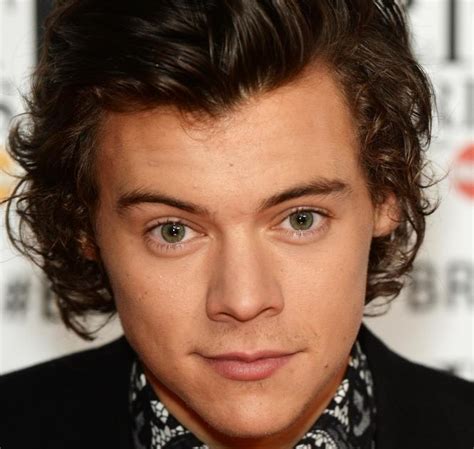 Harry Styles Facts 14 Things You Might Not Know About The One