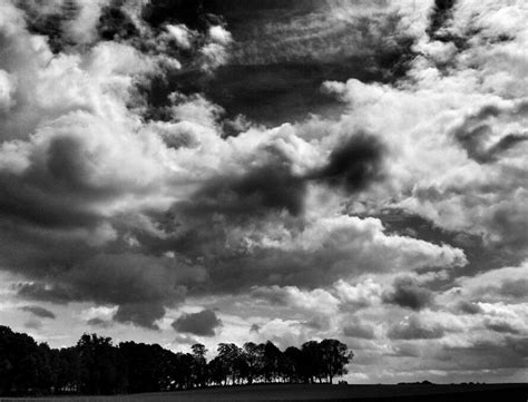 holland jabeek white ink black  white holland  clouds nature outdoor