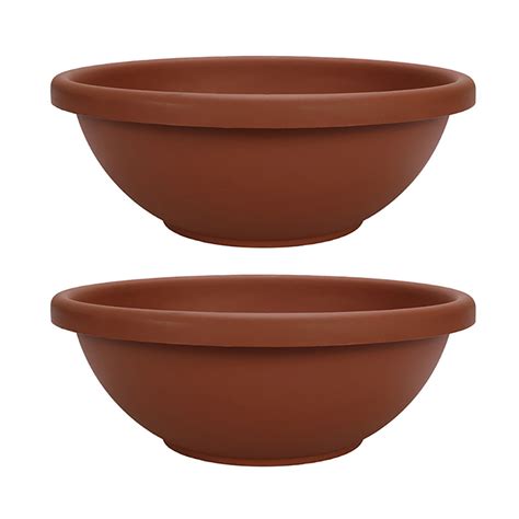 garden bowl planter  perfect  shallow rooted plantings  flowers