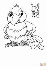 Ausmalbilder Papuga Papagei Kolorowanka Schmetterling Ausmalbild Kolorowanki Tukany Dzieci Ptaki Parrot Motyl sketch template