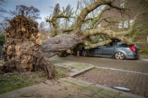 boom van de gemeente valt op mijn auto door storm wie betaalt  de schade storm eunice en