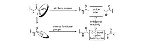 concept  carboxylic acid  amide bond replacement   basis    scientific