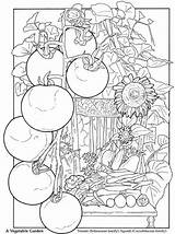 Colouring Veggie Coloriages Dover Publications Doverpublications sketch template