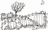 Pumpkin Patch Coloring Pages Farm Pumpkins Fall Drawings Printable Draw Patches Halloween Rocks Visit Harvest sketch template