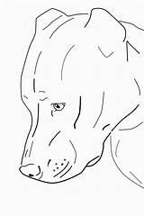 Pitbull Hund Katze Zeichnen Maus Realistic Mädchen Schablonen Katzen Hunde sketch template