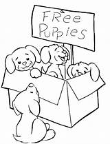 Coloring Puppies Pages Cute Puppy Color Coloring4free Print Kids Printable Online Getcolorings Heart Coloringpagesonly sketch template