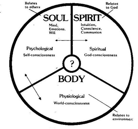 spirit soul  body      work