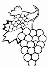 Grapes Weintrauben Ausmalbilder Letzte Dxf Eps Q2 sketch template