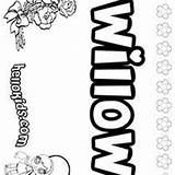 Willow Pages Coloring Names Hellokids sketch template