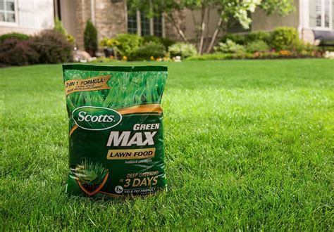 lawn fertilizers reviewed  detail fall