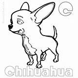 Coloring Pages Akita Getcolorings Chihuahua sketch template