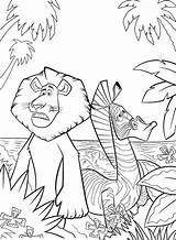 Madagaskar Marty Kolorowanki Kolorowanka Wydruku Nr Druku Trickfilmfiguren Malowanki Dolphins Bajki Bajek Malvorlage sketch template