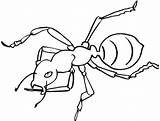 Ant Coloring Worker Awesome Pages Ants Furious Getdrawings Drawing sketch template