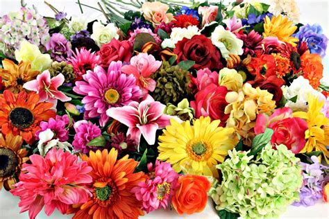 hydrangea lily rose gerbera colorful colors nature flower hd