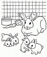Hase Rabbits Hasenfamilie Ausmalbild Animales Crias Diwarnai Putih Páginas Kelinci Sketsa Lucu Malvorlagen Conejo Dover Coloringhome sketch template