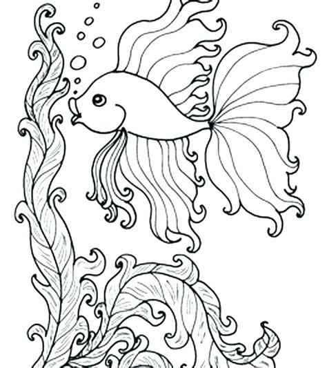 coloring pages  adults fish  getdrawings