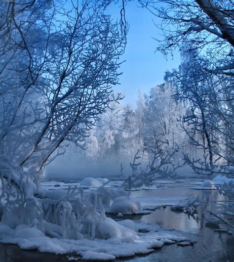 beautiful winter scenes    modern met