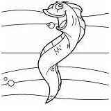 Eel Coloring Fish Long Singing sketch template