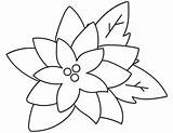 Poinsettia Blooming sketch template