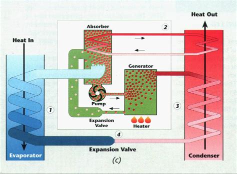 ammonia absorption