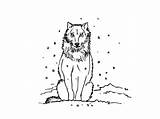 Loup Coloriage Loups Coloriages Kolorowanki Colorier Wilki Gulli Wilk Imprime Partage Neige Télécharge sketch template