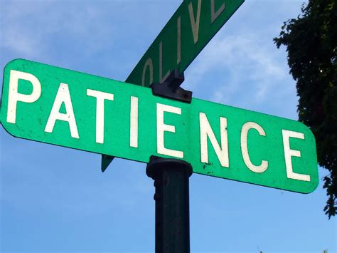 patience   virtual virtue