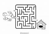 Labirinti Stampare Facili Labirinto Percorsi Pianetabambini Giochi Stampe Disegnare Singolarmente Facilissimi Matematica sketch template