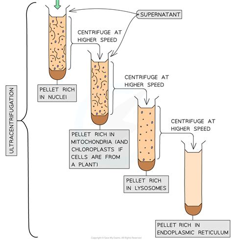 aqa  level biology cell fractionation ultracentrifugation