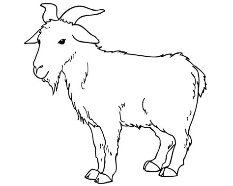 coloring page goat grazing