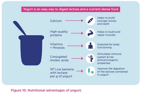 yogurt can improve sex drive promote fertility and help