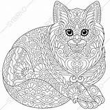 Coloring Pages Zentangle Cat Adult Kitten Doodle Adults Book Kitty Digital Instant Print Illustration Colouring Animal Cute Zentangles продавец Etsy sketch template