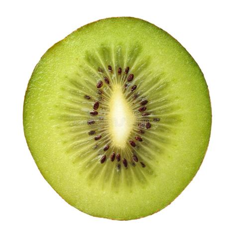 single kiwi slice stock image image  texture fruits