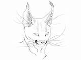 Caracal Lineart sketch template