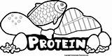 Clipart Protein Clipground Cliparts sketch template