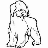 Coloring Pages English Old Sheepdog Dog Getdrawings sketch template