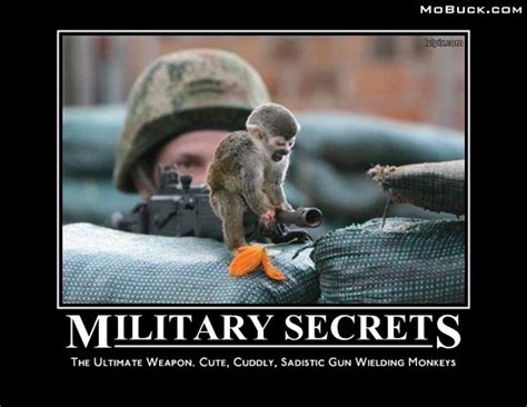 military secrets are cute and cuddly