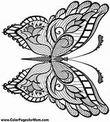 Coloring Butterfly Pages Adults Drawing Butterflies Adult Fairies Coloriage Printable Tattoo Hard Mandala Color Colouring Intricate Print Zentangle Mandalas Papillon sketch template
