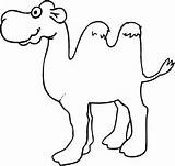 Kamele sketch template