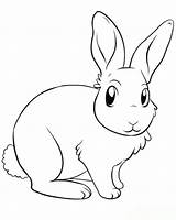 Kaninchen Ausmalbilder Hase Mytie Hasen Wohnkultur Frisur Bastelideen Ausmalbildertv Drawing sketch template