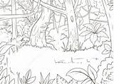 Selva Colorir Floresta Amazonica Bosque sketch template