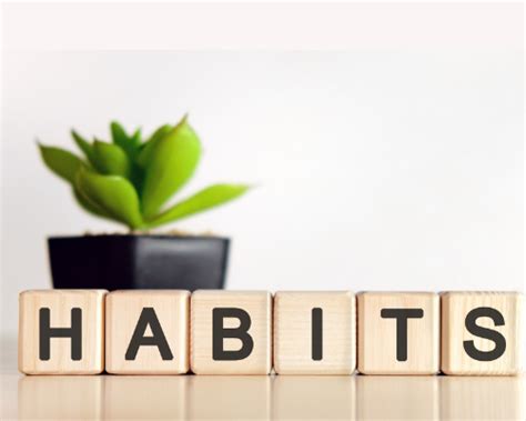 easily   plan  creating winning habits mindset  success
