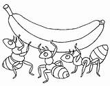 Hormigas Colorear Formiche Formigas Colorare Disegni Acolore Plátano Platano sketch template